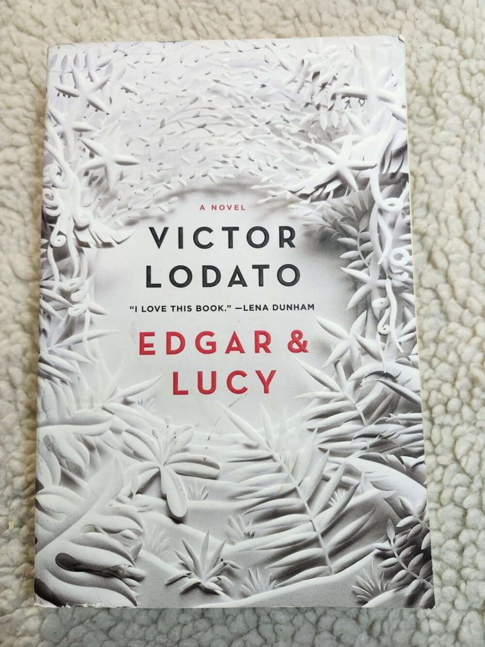 Victor Lodato Edgar & Lucy Paperback 2017 International Edition Fiction Novel